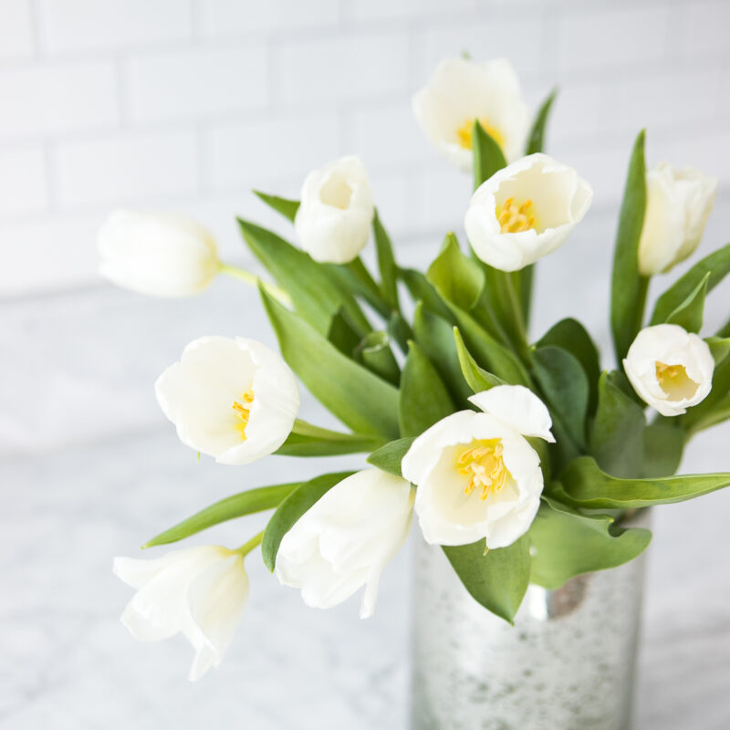 SocialSquares_garden_fresh_kitchen_028-2
