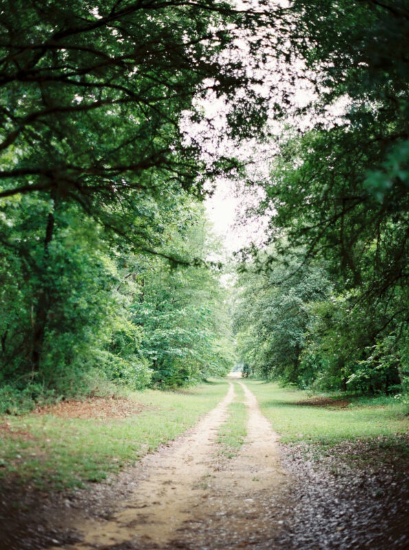Social-Squares-Deep-Green-Styled-Stock-Image010